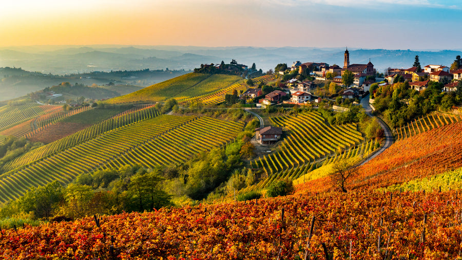 Sassicaia & Super Tuscans