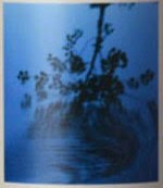 Sine Qua Non "Piranha Waterdance" Syrah 2014, 750ml [chipped wax capsule]